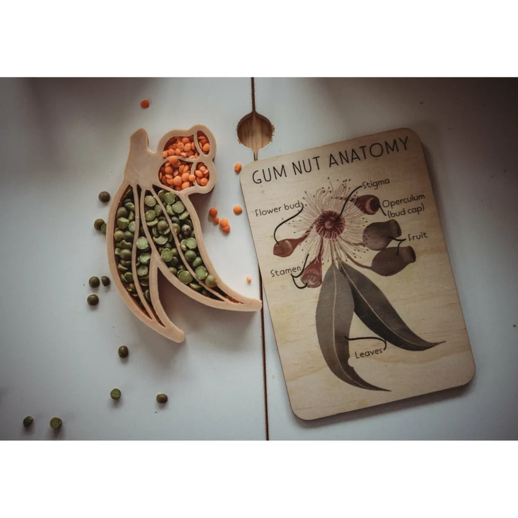 Kinfolk Pantry Stampini, Formine E Rulli Creativi | Formina in bioplastica per pasta modellabile Fiore di Eucalipto