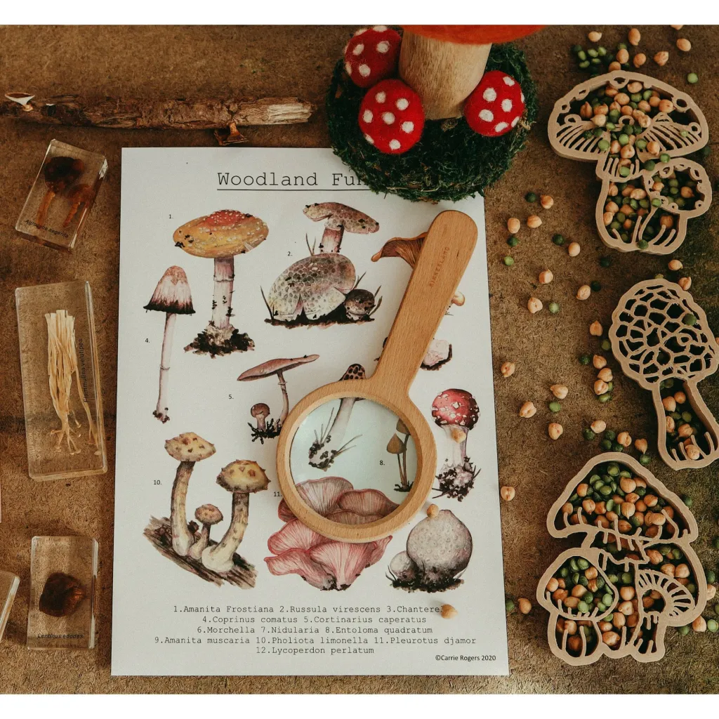 Kinfolk Pantry Autunno | Stampini, Formine E Rulli Creativi | Formina in bioplastica per pasta modellabile Fungo Amanita Muscaria
