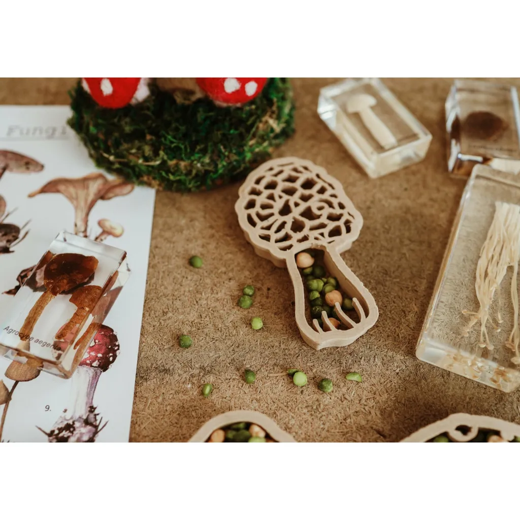 Kinfolk Pantry Autunno | Stampini, Formine E Rulli Creativi | Formina in bioplastica per pasta modellabile Fungo Morchella