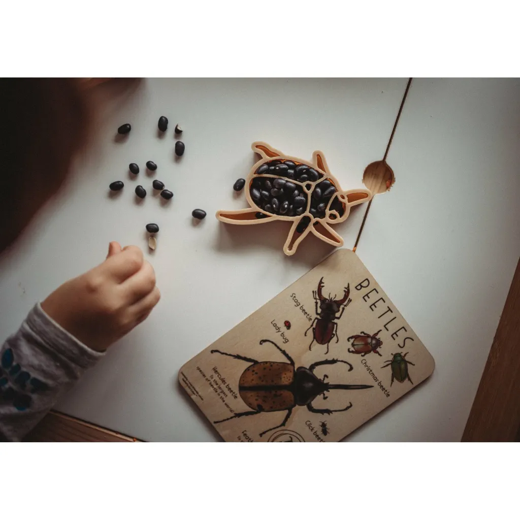 Kinfolk Pantry Insetti | Stampini, Formine E Rulli Creativi | Formine in bioplastica per pasta modellabile Scarabeo